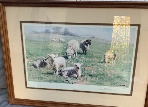 Lovely david shepherd signed - lovely,