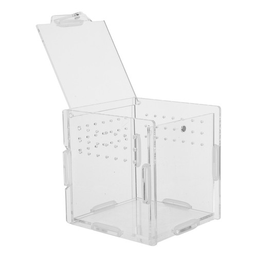 Reptile terrarium - terrarium:,
