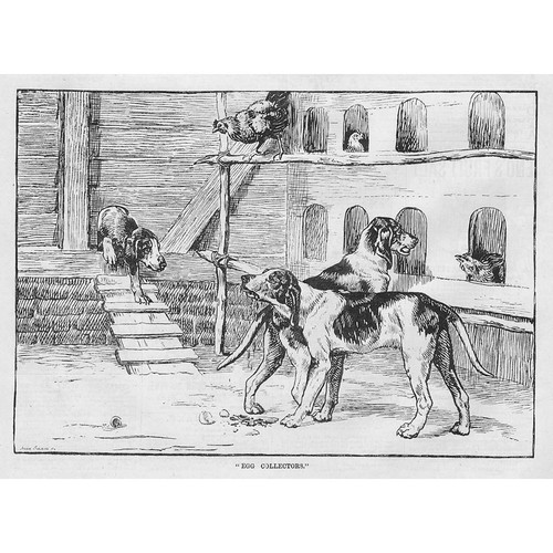 Dogs egg collectors antique - collectors,