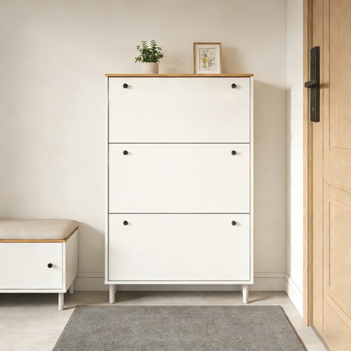 Shoe cabinet storage - shoe,