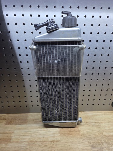 Rotax max evo genuine silver - max,
