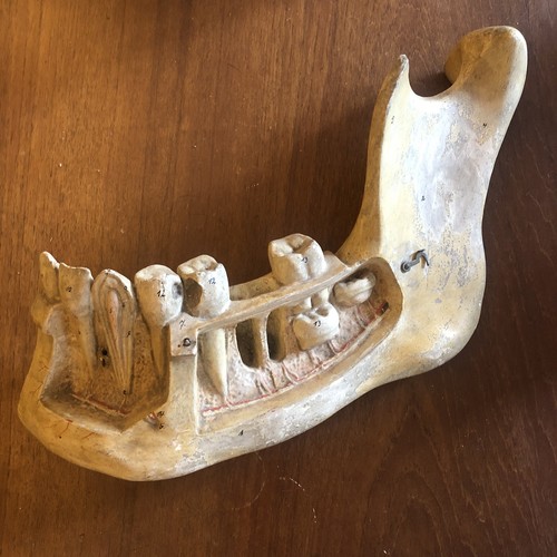 Antique 19th century model - 19th,