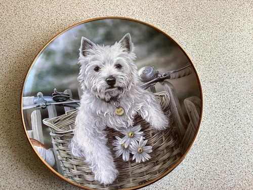Danbury mint hitching ride - danbury,