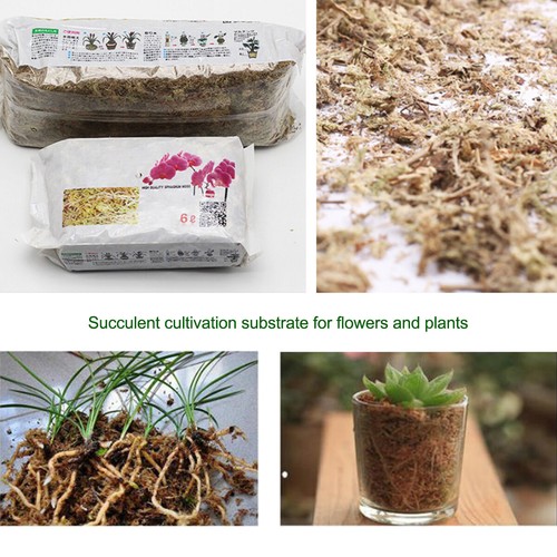 12l dried sphagnum - 6/12l,