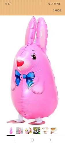 Walking pet balloons - pet,