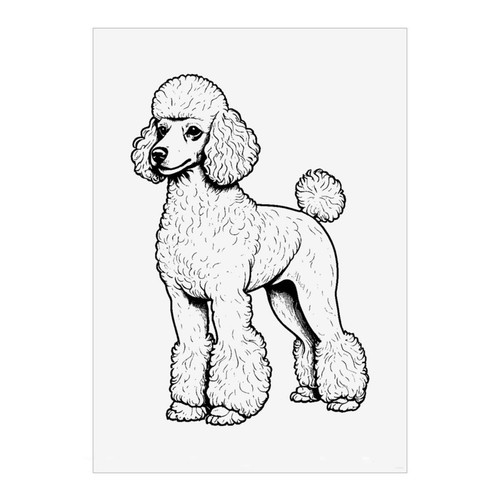 Standard poodle wall art - 'standard,