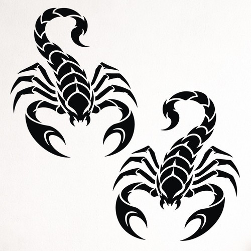 Scorpion campervan sticker - scorpion,