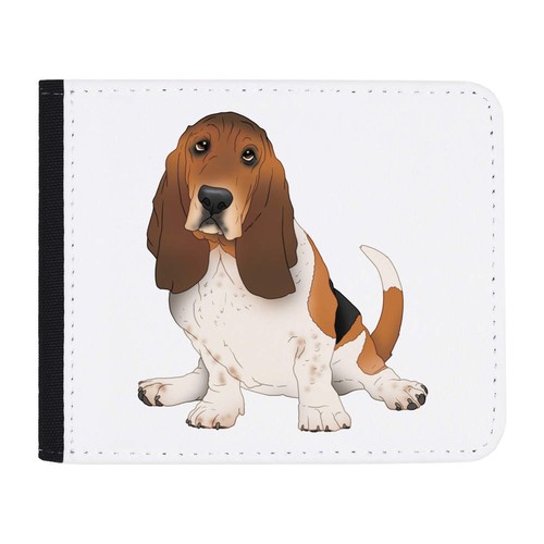 Basset hound dog sitting - hound,