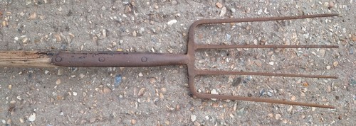 Antique vintage skelton - t, &