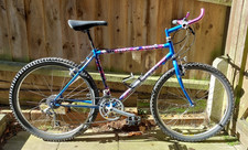 Raleigh Dyna-tech Diablo 1992