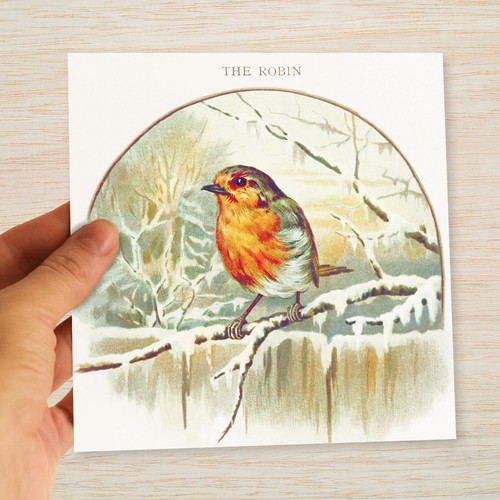 Victorian robin christmas - robin,