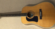 Washburn D10SLH Left Handed