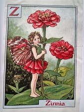 Z - ZINNIA - Alphabet Letters