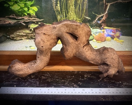 Large natural aquarium - natural,