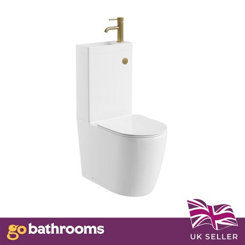 Toilet basin combo 1 - combo, in