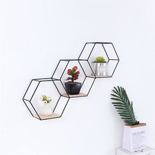 Wall Mounted Floating Shelves