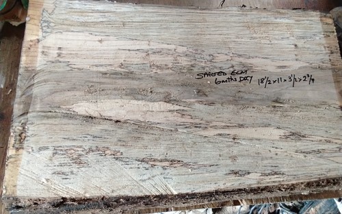 Spalted elm bowl blank wood - blank,