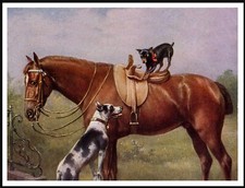 MINIATURE PINSCHER HORSE AND