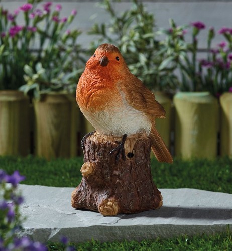 Robin song motion - robin,