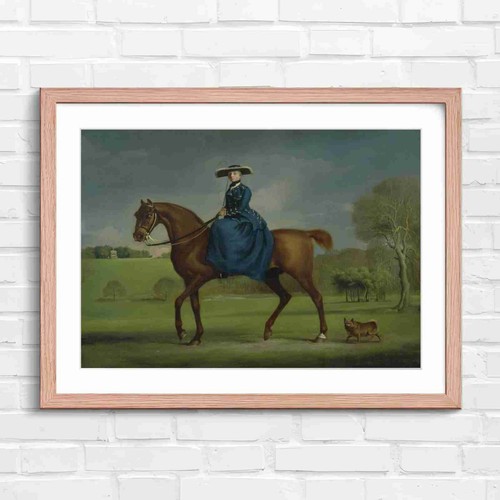 Elegant classical horse rider - classical,