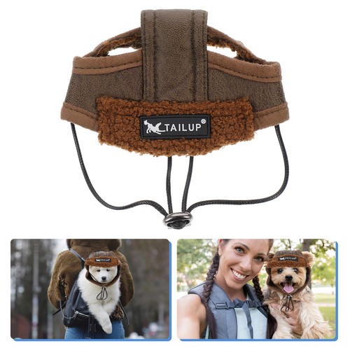 Pet costume creative - pet,