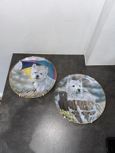 Danbury mint westie collection - westie,