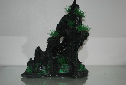 Aquarium large detailed dark - aquarium,