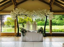 2 X pink or white Arch blossom Tree perfect for weddings, top tables HIRE
