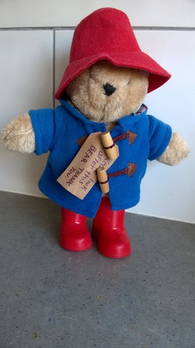 Rainbow designs paddington - rainbow,