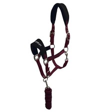Whitaker Club Horse Headcollar