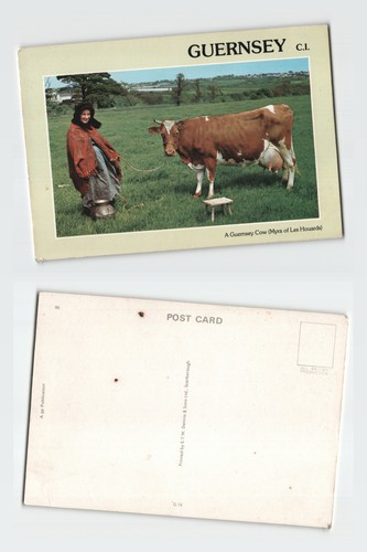 Vintage postcard guernsey i - postcard,