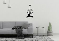 Cat In Bird Cage Animal Funny