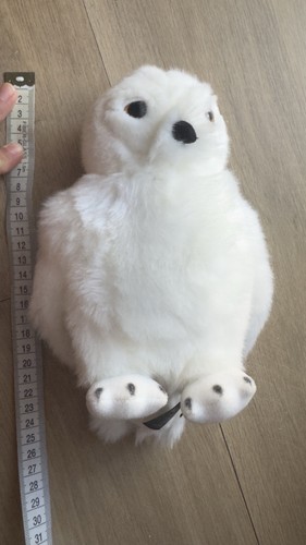 Harry potter hedwig white - harry,
