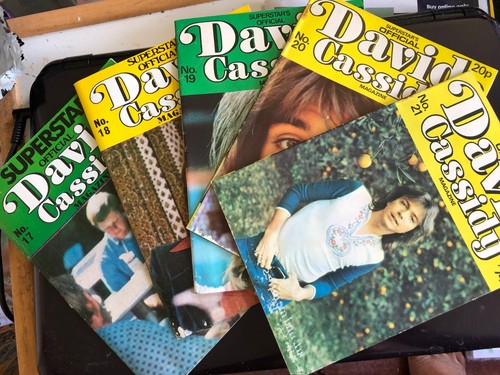 The official david cassidy - the,