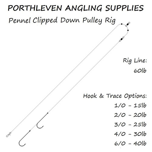 Pennel clipped down - pennel,