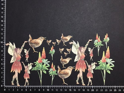 Quirky bird fairy - fairy’s, &
