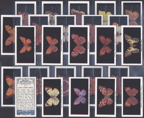 Phillips full set british - set-,