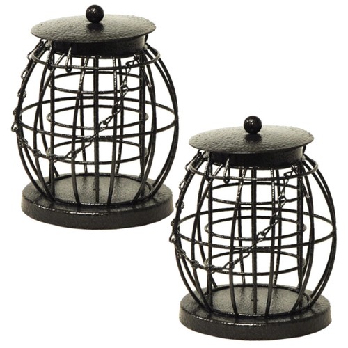 Wild garden bird - wild,