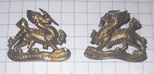 Royal Berkshire Collar Badges