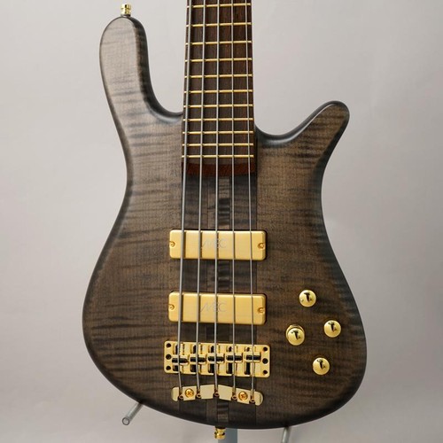 Warwick custom shop streamer - warwick,