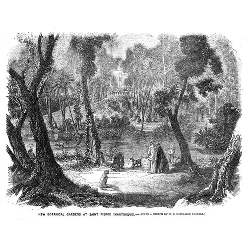 Martinique new botanical - martinique,