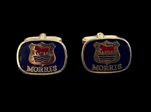 Vintage morris car - car, van