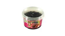 Cornelian Sour Cherry with