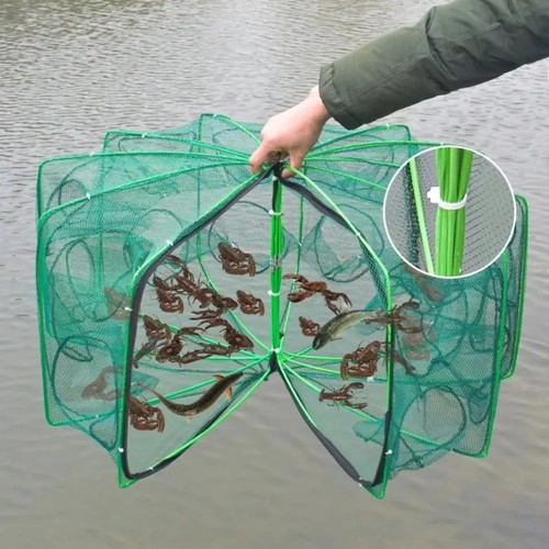 Holes foldable fishing - 6, trap
