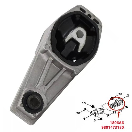 Rear lower engine - lower, gearbox