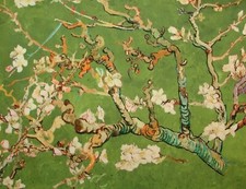 Japanese Cherry Blossom Tree