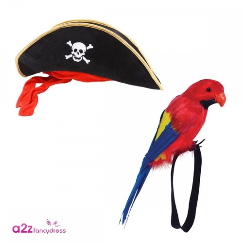 Mens pirate hat - pirate,