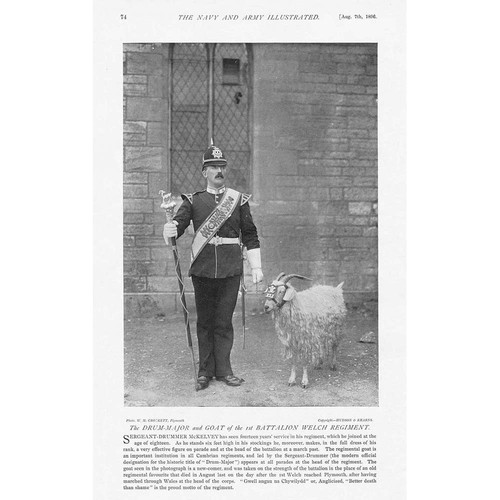Drum major goat the - goat, of