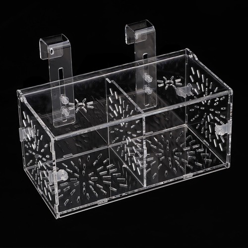 Acrylic transparent fish tank - acrylic,