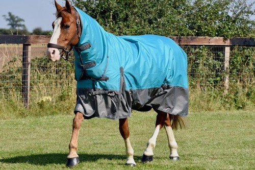 Turnout 100 combo horse - turnout,